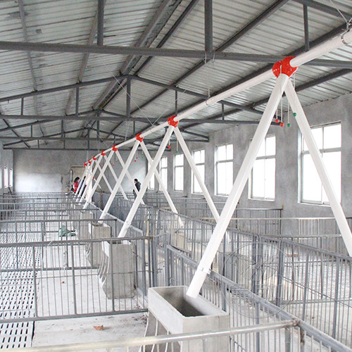 濟南長清豬場整體布局和料線安裝工程